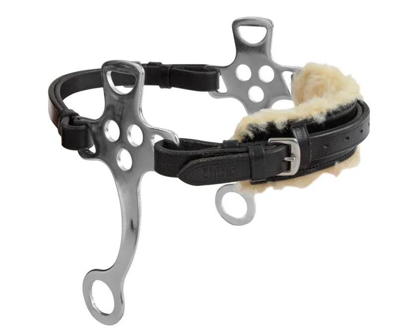 Shires Blenheim Hackamore Havana